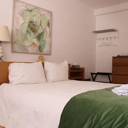Casa Sandra - Carlota Apartment Lousa (Central Portugal)