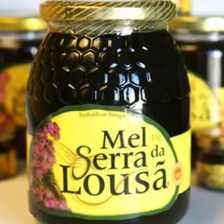 Casa Sandra - Carlota Διαμέρισμα Lousã