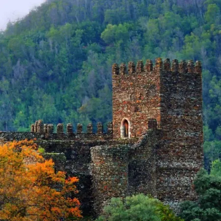 Casa Sandra - Carlota *