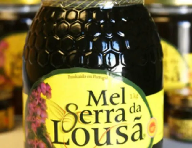 Casa Sandra - Carlota Apartmán Lousã