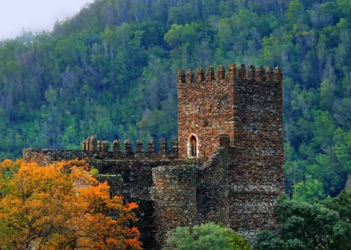 Casa Sandra - Carlota *