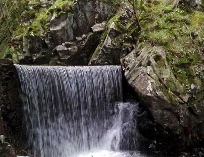 Casa Sandra - Carlota